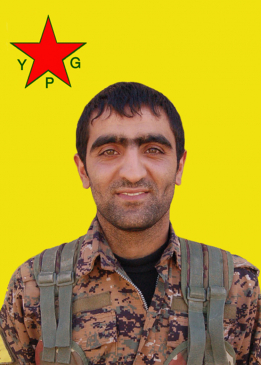 XEL&Icirc;L AVAREŞ