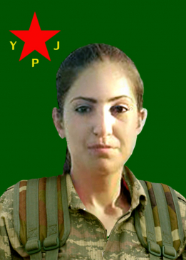 Z&Icirc;LAN SEREKAN&Icirc;
