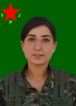 AVAŞÎN TOLHILDAN