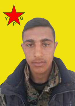 DEL&Icirc;L HESEK&Ecirc;