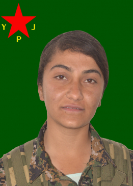 ZÎLAN ÎNAN