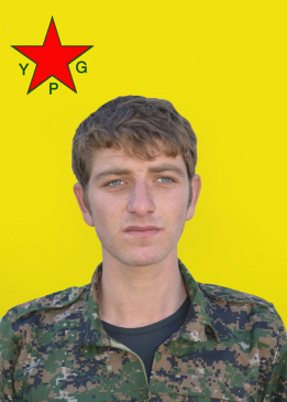 HARUN GOYÎ