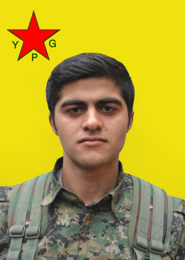 FEDEKAR KOBANÊ