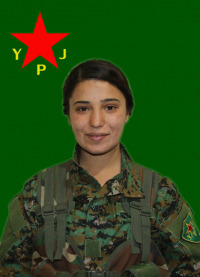 AGIRÎ QAMIŞLO