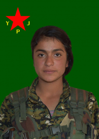 BÊRÎTAN GABAR