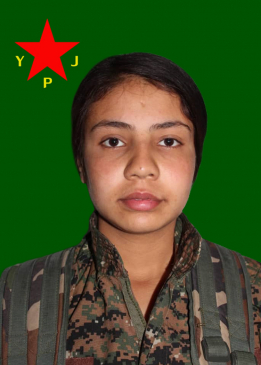 YILDIZ TINER