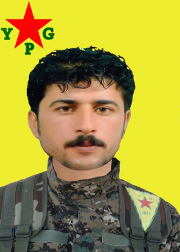 HOGIR QAMIŞLO