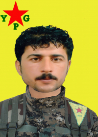 HOGIR QAMIŞLO