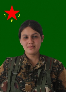 AVESTA HESEKÊ