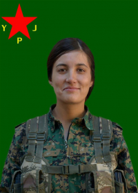 RENGÎN AMED