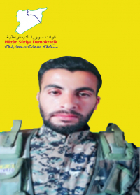 NUMAN ŞEDADÊ