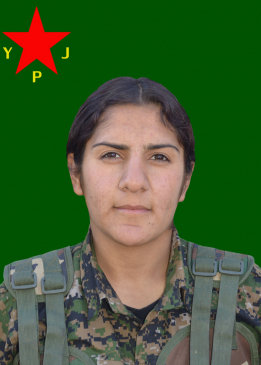 TEKOŞÎN NÛDA