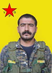 GELÎ LÎCE